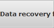 Data recovery for Longview data